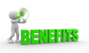 What are the Benefits of Incorporating the Business?
