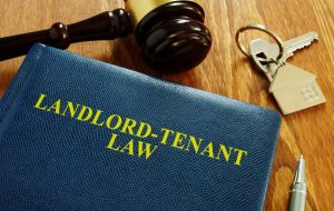How to Evict a Tenant Immediately in Ontario? - A Step-by-Step Guide