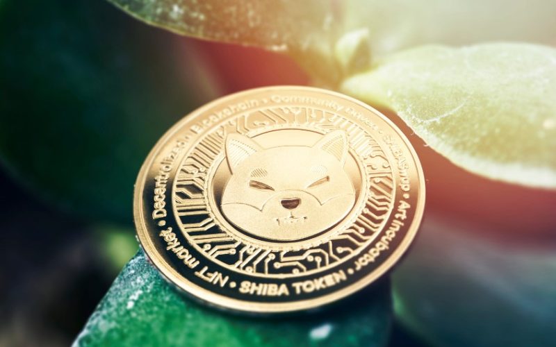 How to Buy Shiba Inu Coin in Canada? - Top 5 Places to Buy