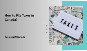 How to File Taxes in Canada?