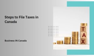 Steps to File Taxes in Canada
