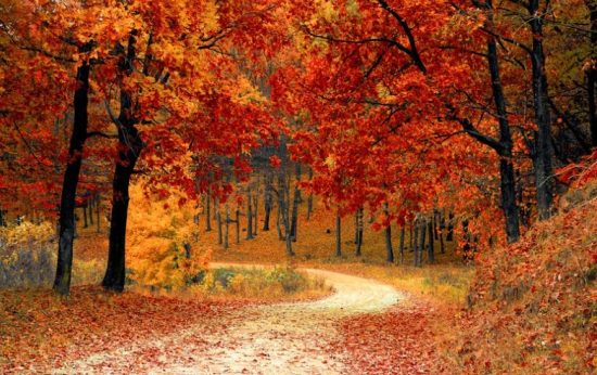 When Does Fall Start in Canada? - Embrace the Change of Seasons