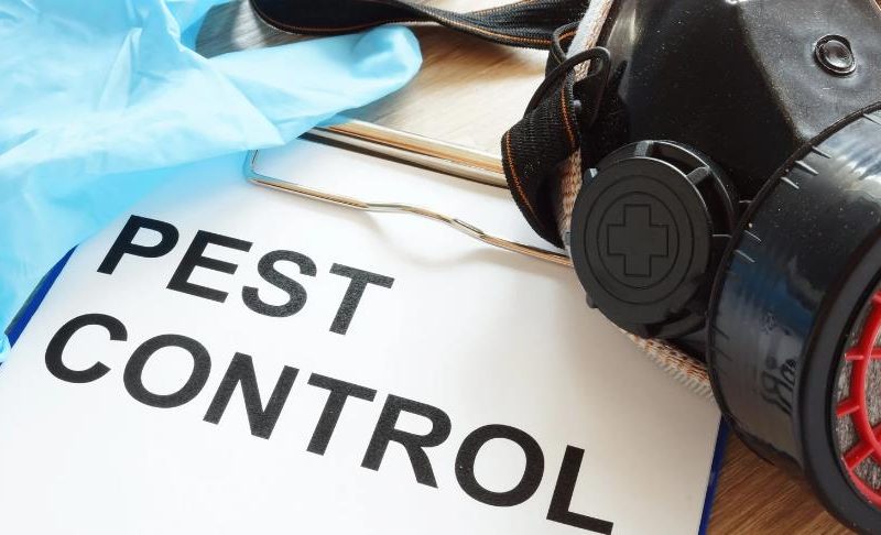 Why Commercial Properties Should Have Pest Control Contracts