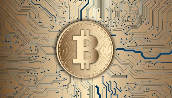 Predicting the Future of Bitcoin Post-Halving 