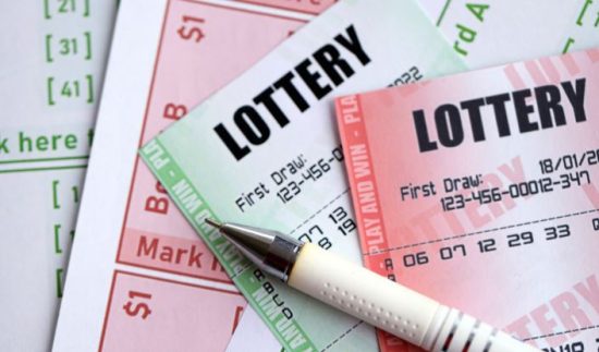 Which Platforms Allow You to Verify Lotto Max Results Online?